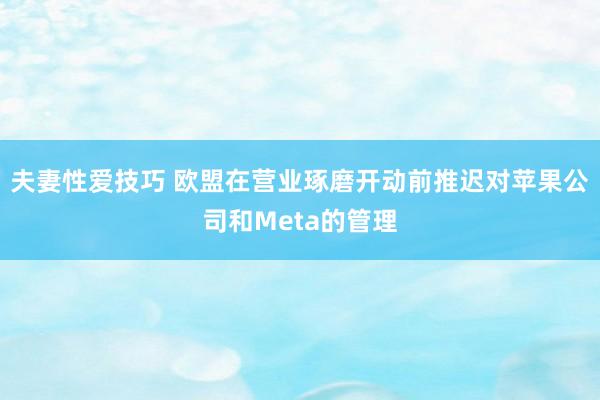 夫妻性爱技巧 欧盟在营业琢磨开动前推迟对苹果公司和Meta的管理
