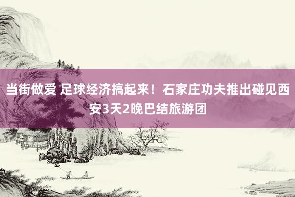 当街做爱 足球经济搞起来！石家庄功夫推出碰见西安3天2晚巴结旅游团