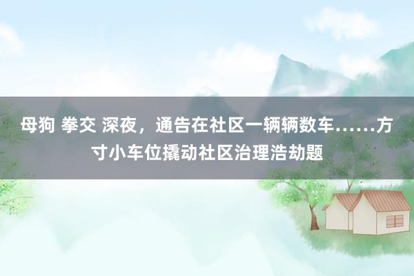 母狗 拳交 深夜，通告在社区一辆辆数车……方寸小车位撬动社区治理浩劫题