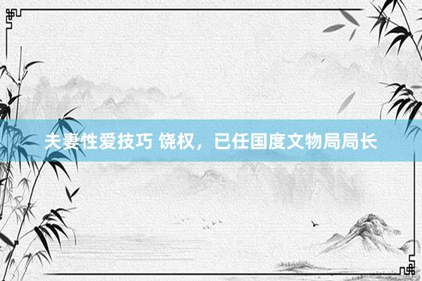 夫妻性爱技巧 饶权，已任国度文物局局长