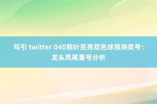 勾引 twitter 040期叶亮亮双色球预测奖号：龙头凤尾重号分析